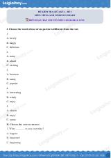 Đề thi giữa kì 2 Tiếng Anh 5 Phonics Smart - Đề số 3
